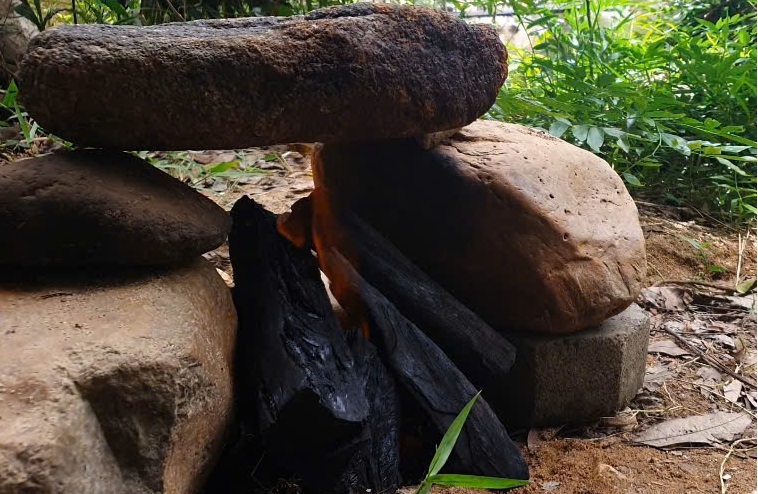 Đá nướng thịt đà điểu