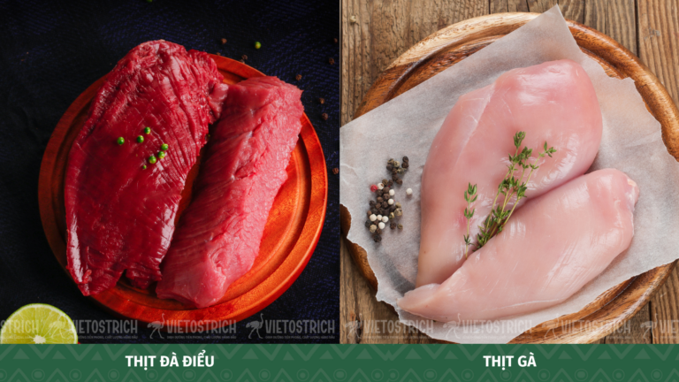 So sánh dinh dưỡng giữa thịt đà điểu và thịt gà