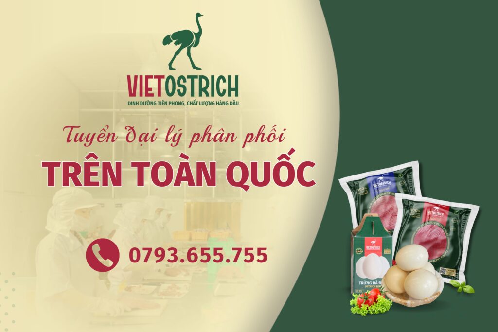 Cơ hội trở thành đại lý Vietostrich