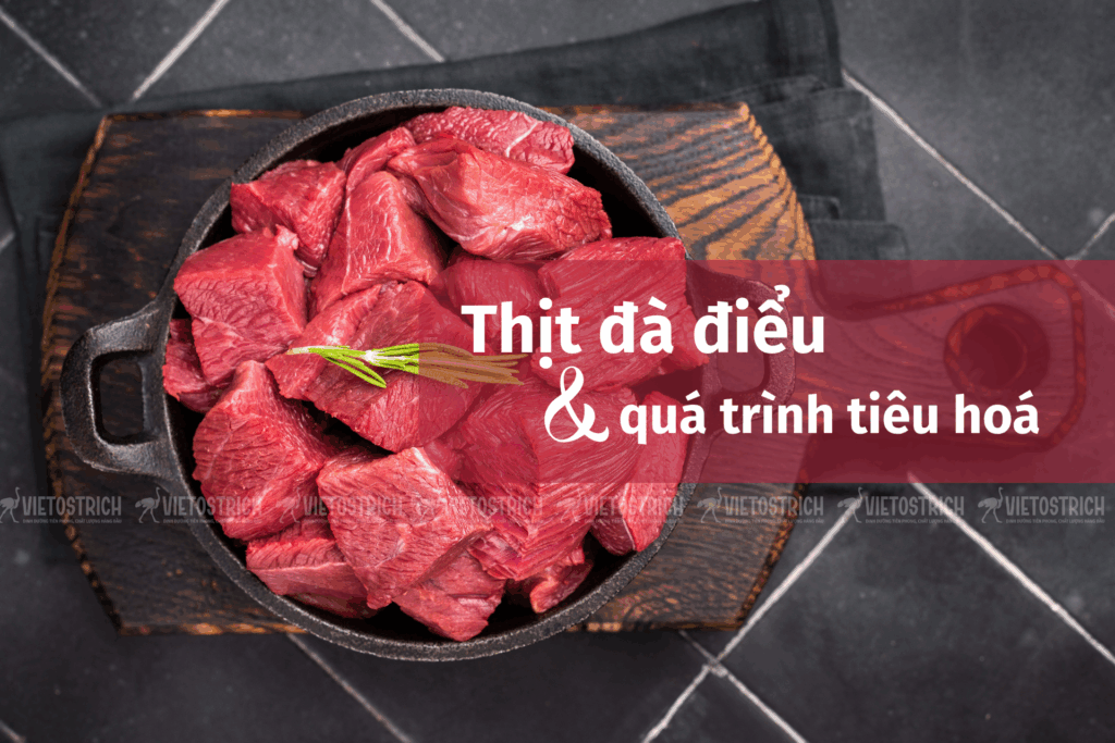 thịt đà điểu VietOstrich dễ tiêu hóa hơn thịt bò, giàu protein ít béo