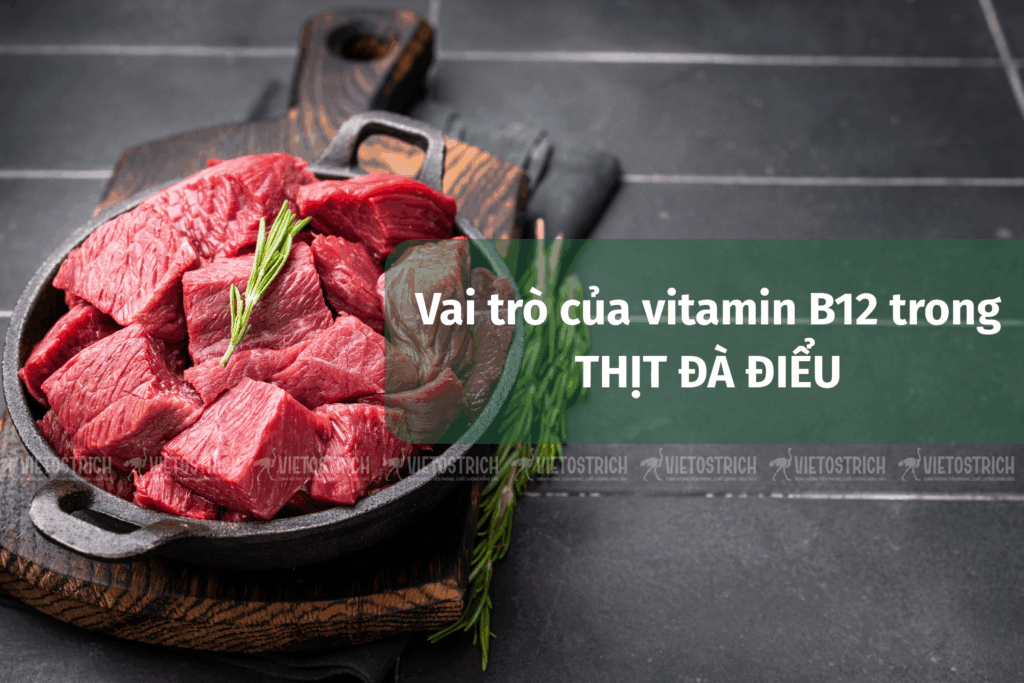 Vai trò của vitamin B12 trong thịt đà điểu đối với sức khỏe thần kinh